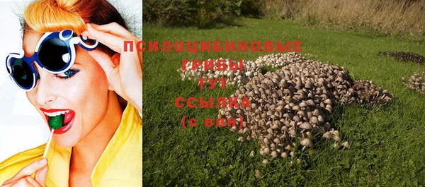 сатива Алексин