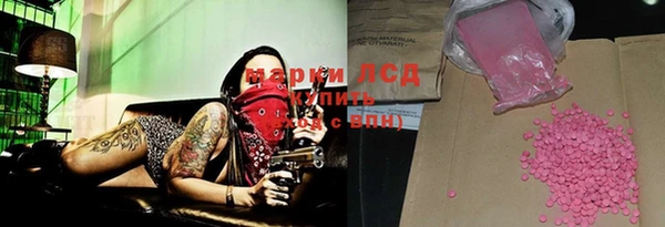 прущий лед Алзамай