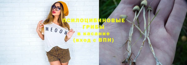 прущий лед Алзамай