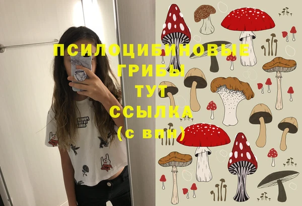 прущий лед Алзамай