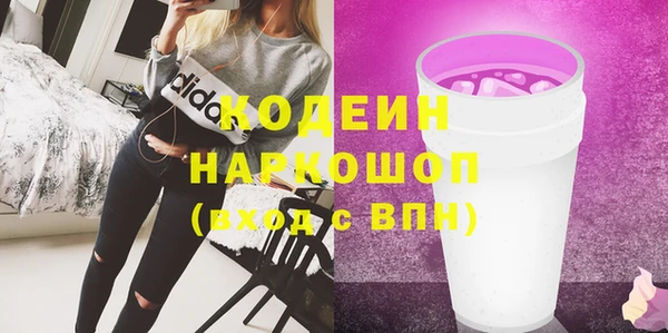 прущий лед Алзамай