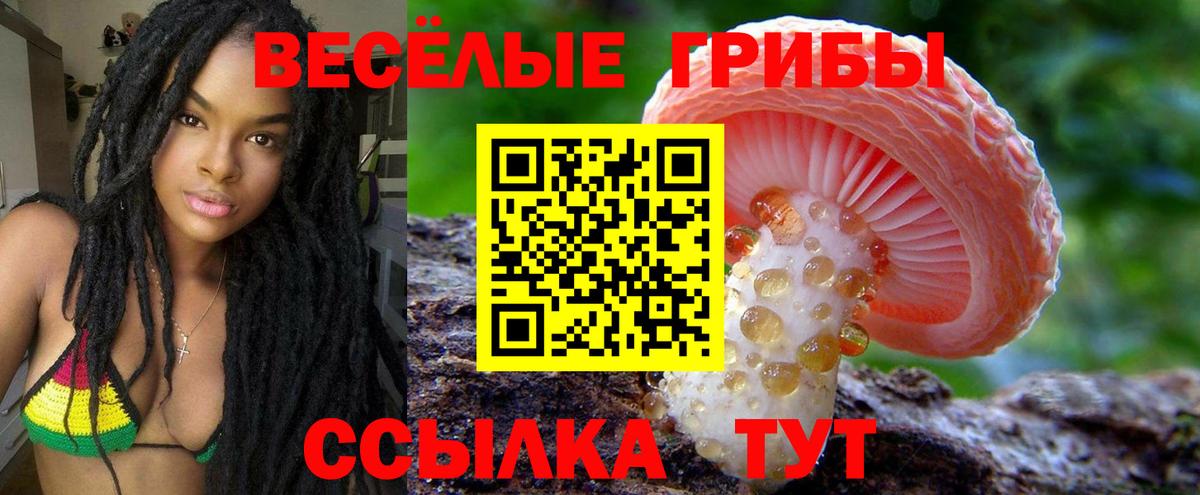 Псилоцибиновые грибы мицелий  Вход с VPN  Краснокамск 